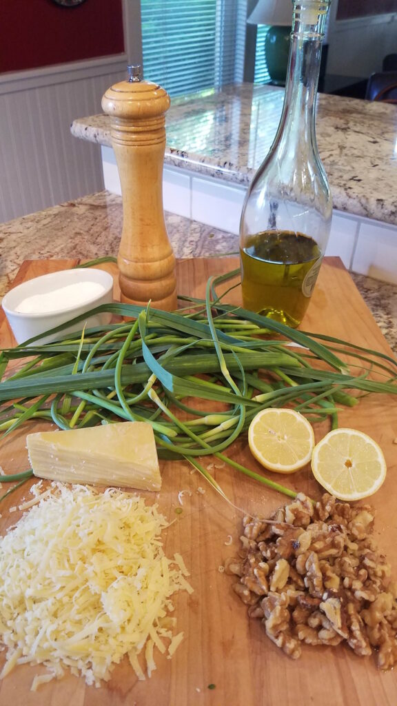 ingredients for garlic scape pesto.
