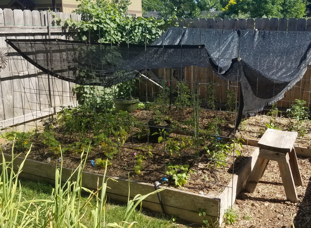 shade cloth over a garden bed