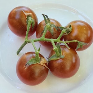 brown berry cherry tomato