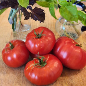 greater Baltimore heirloom tomato