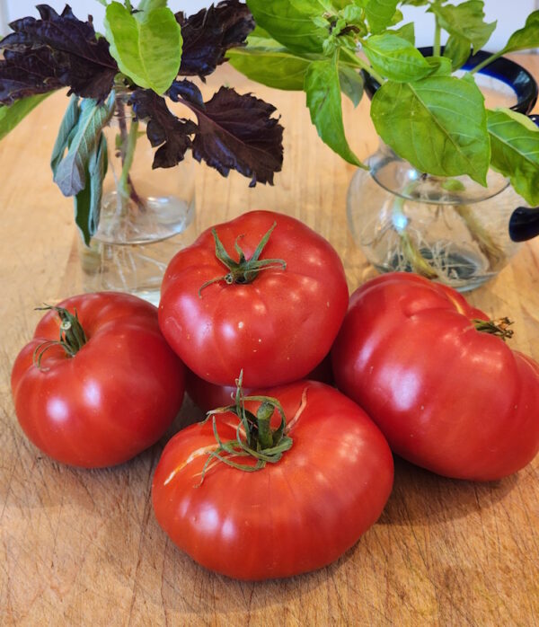 greater Baltimore heirloom tomato