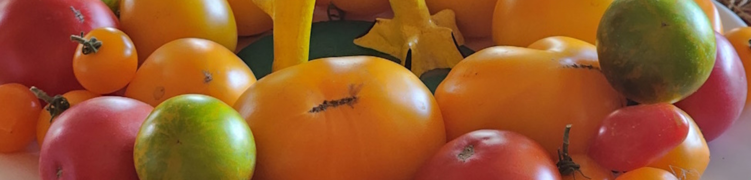 Tomato Centerpiece a