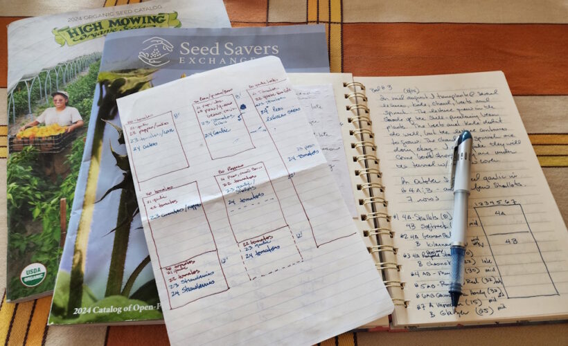 garden journal pages and seed catalogs