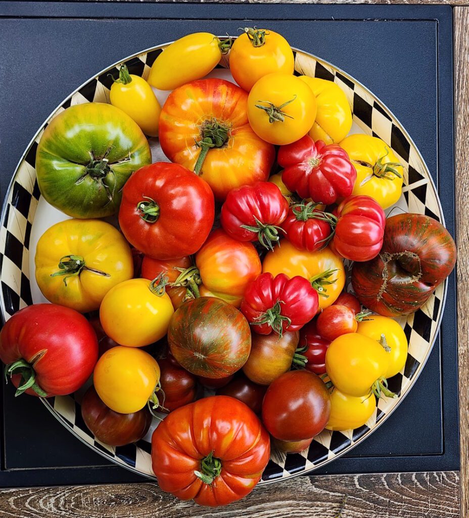 a large platter of colorful heirloom tomatoes