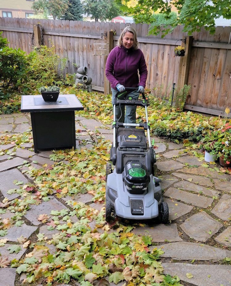 mowing fall leaves with a lawn mower