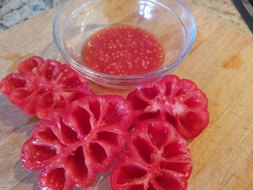 tomatoes processed for seed saving