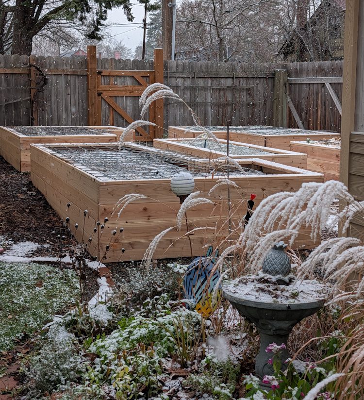 late fall raised beds dusted in snow